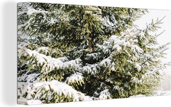 Canvas Schilderij Dennenboom - Kerst - Sneeuw - Wanddecoratie