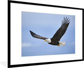 Affiche avec cadre Pygargue à tête blanche - Aigle - Volant - Vogels - 90x60 cm