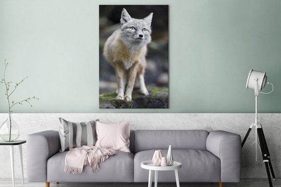 Toile Steppevos 80x120 cm - Tirage photo sur toile (Décoration murale salon / chambre) / Peintures sur toile Animaux