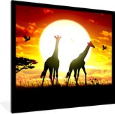 Fotolijst incl. Poster - Een illustratie van Afrikaanse giraffen tegen de zon - 40x40 cm - Posterlijst