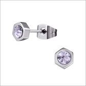 Aramat jewels ® - Zweerknopjes zeshoek lila chirurgisch staal zilverkleurig 5mm