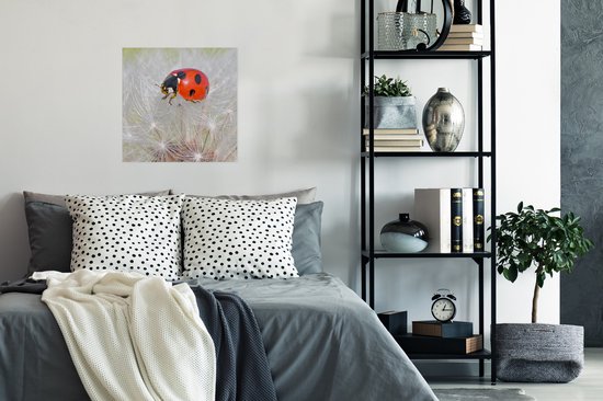Poster Coccinelle sur pissenlit - 50x50 cm