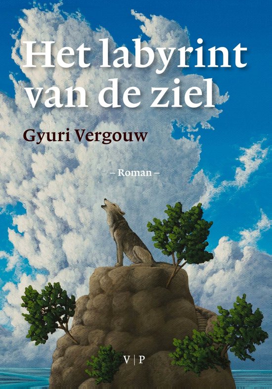 Het labyrint van de ziel - cover
