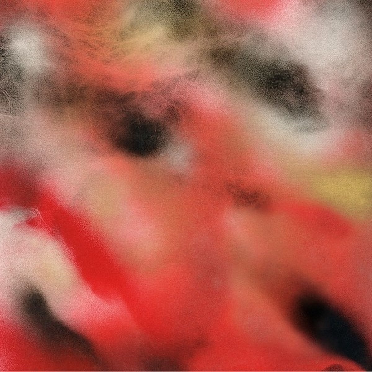 Marnie Weber - Songs Hurt Me (LP)