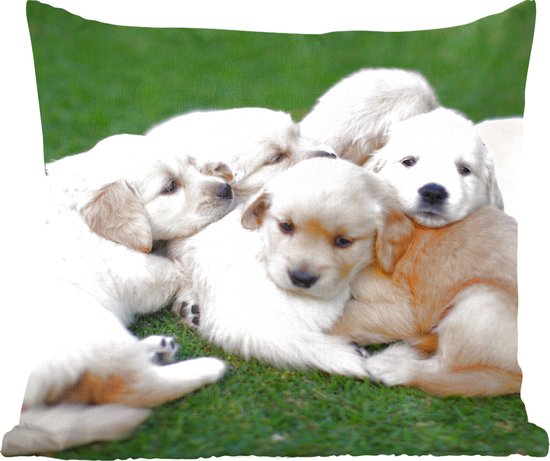 Sierkussen - Dieren Puppys Honden - Multicolor - 50 Cm X 50 Cm