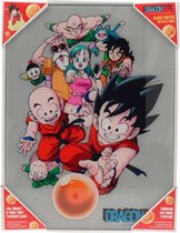 DRAGON BALL - GLASS PRINT - Characters - 30X40 Cm