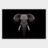 Artistic Lab Poster - Dark Elephant - 250 X 240 Cm - Multicolor