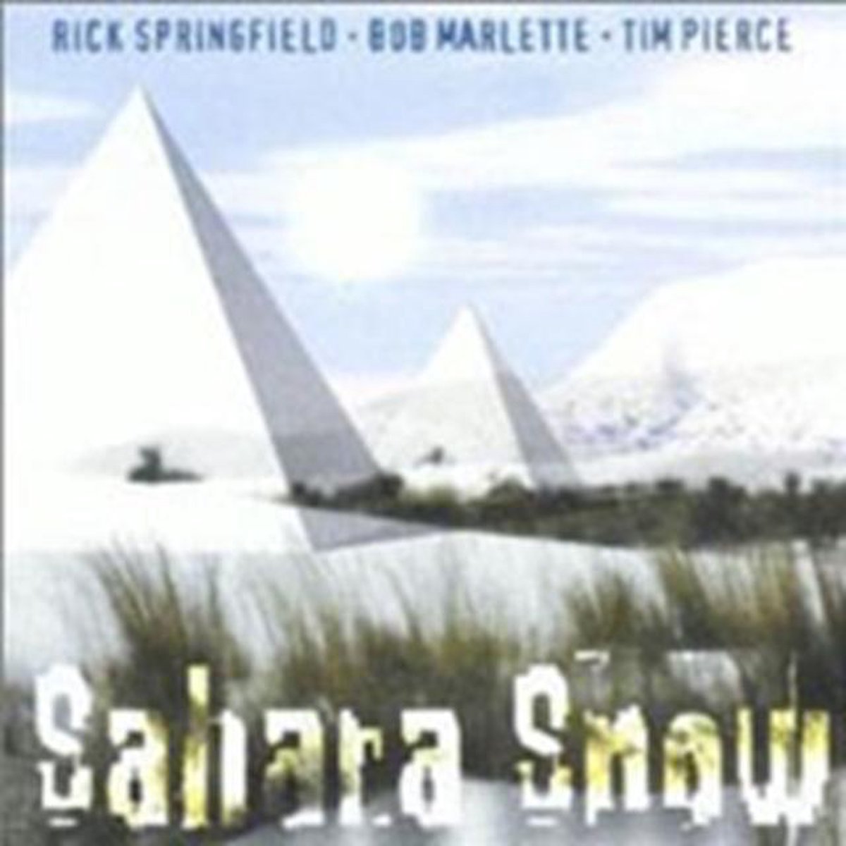 Sahara Snow