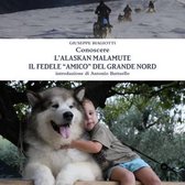 Conoscere L'alaskan Malamute - Il Fedele  Amico  Del Grande Nord