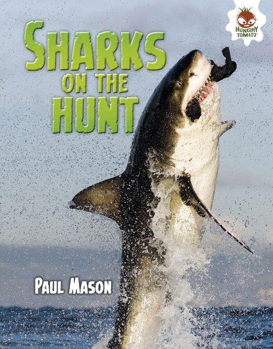 Wild World of Sharks - Sharks on the Hunt - cover