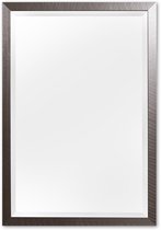 Moderne Spiegel 46x106 cm RVS Zwart - Ella