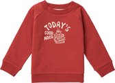 Noppies Boys sweater Toast long sleeve Jongens Trui - Tandori Spice - Maat 56