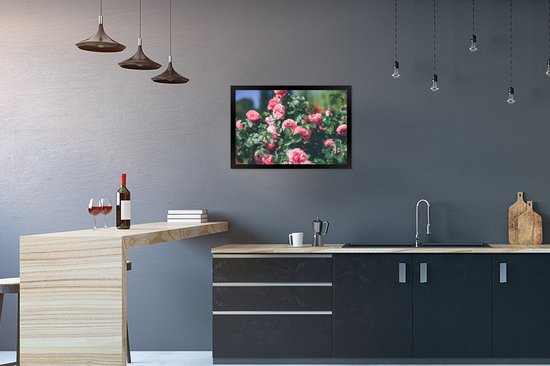 Photo en cadre - Belle rose rose en cadre photo jardin d'été noir 60x40 cm - Affiche sous cadre (Décoration murale salon / chambre)