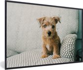 Photo encadrée - Puppy assis sur le canapé cadre photo noir 90x60 cm - Affiche encadrée (Décoration murale salon / chambre)