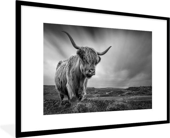 PosterMonkey - Poster - Cadre photo - Scottish Highlander - Nature - Vache - Zwart et blanc - Cadre - 120x80 cm - Affiche noir et blanc - Photo sous cadre - Poster Scottish Highlander - Cadre pour affiche
