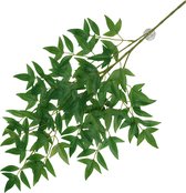 Plante suspendue Nandina 65x35x1,5cm vert