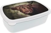 Broodtrommel Wit - Lunchbox - Brooddoos - Schotse hooglander - Licht - Portret - Natuur - 18x12x6 cm - Volwassenen