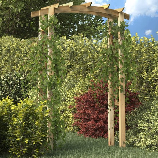 The Living Store Arche de jardin 150x60x210 cm bois Tonnelle de