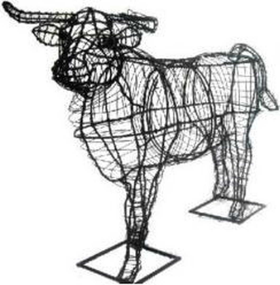 Stier - Frame