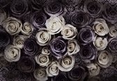 Fotobehang - Vlies Behang - Rozen in zwart-wit - 254 x 184 cm