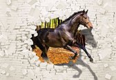 Fotobehang - Vlies Behang - Paard uit de Stenen Muur 3D - 312 x 219 cm