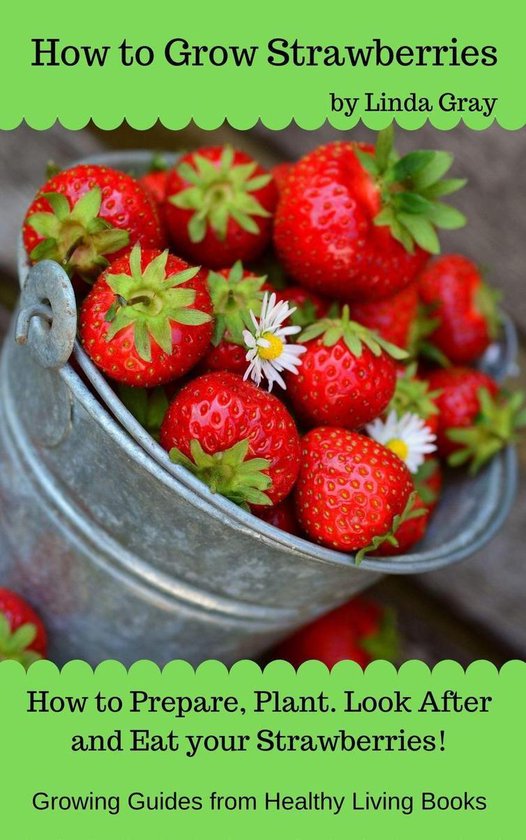 Growing Guides - How to Grow Strawberries - cover