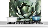 Spatscherm keuken 80x55 cm - Kookplaat achterwand Detailfoto van een mintgroene cactus - Muurbeschermer - Spatwand fornuis - Hoogwaardig aluminium