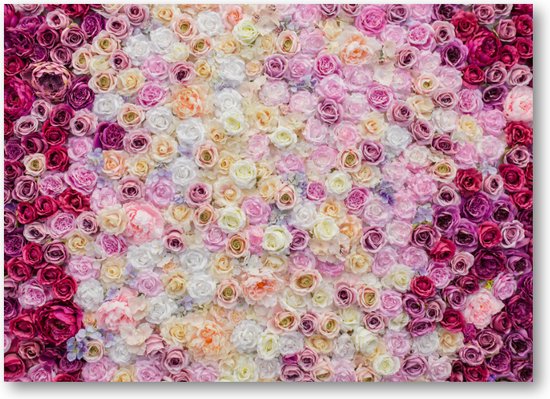 Rose Mix - 70x50 Toile Paysage - Fleurs