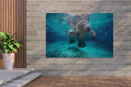 Décoration murale Lamantin antillais avec bébé - 180x120 cm - Poster jardin - Toile jardin - Poster extérieur