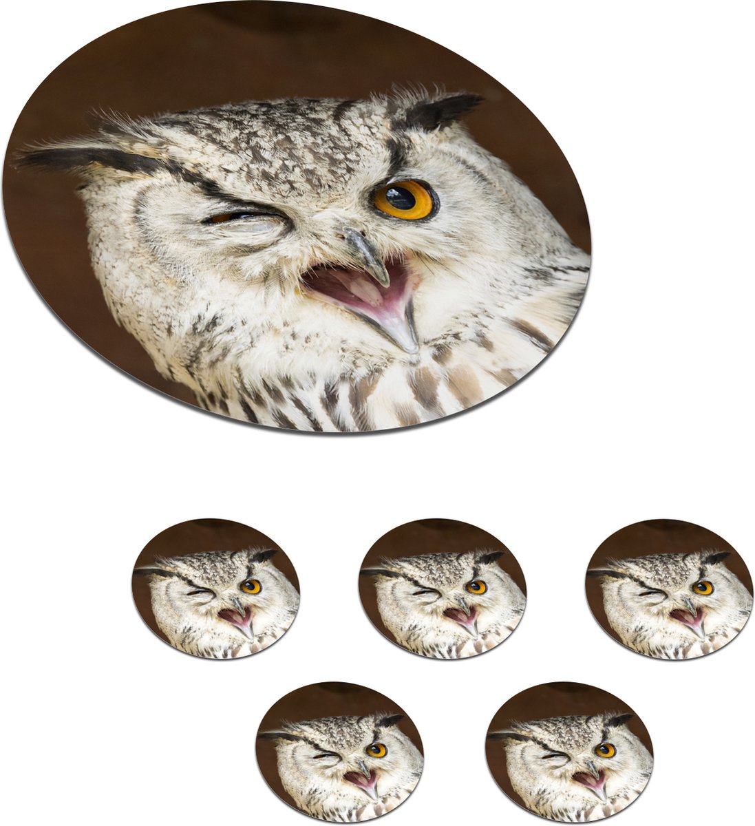Onderzetters voor glazen - Rond - Deze bruine uil knipoogt naar de camera - 10x10 cm - Glasonderzetters - 6 stuks