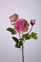 Engelse wilde roos - set van 2 zijden bloem - lila - topkwaliteit - 53cm