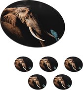 Sous-verres pour verres - Ronds - Éléphant - Perroquet - Dents - 10x10 cm - Sous-verres en verre - 6 pièces