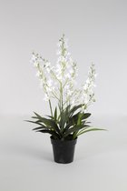 Kunstbloem - Dendrobium - orchidee - topkwaliteit decoratie - 2 stuks - zijden bloem - Wit - 75 cm hoog