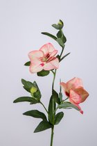 Kunstbloem - Helleborus - kerstroos - topkwaliteit decoratie - 2 stuks - zijden bloem - Oranje - 58 cm hoog