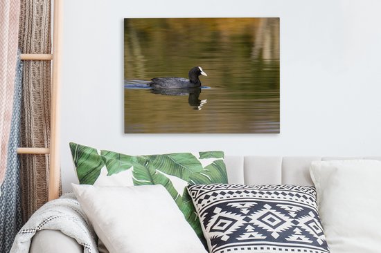 Tableau sur toile Foulque dans l'eau - 40x30 cm - Décoration murale