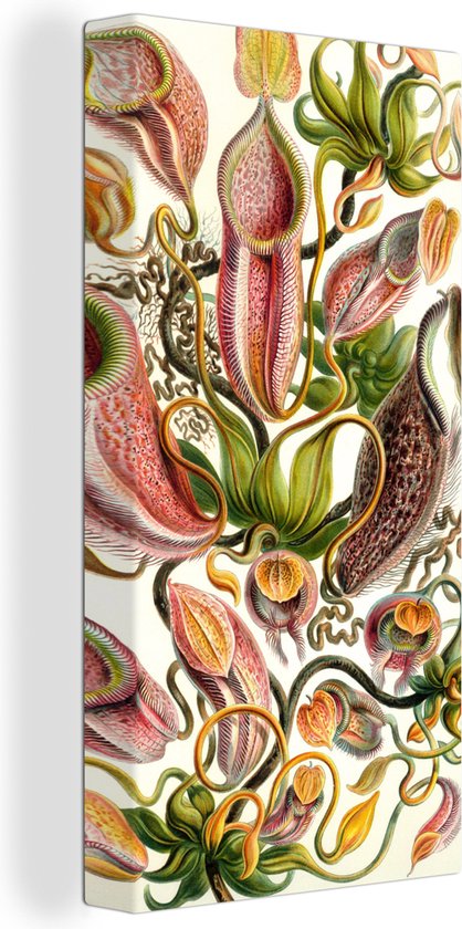 Canvas Schilderij Nepenthaceae - Kunst - Bloemen - 40x80 cm - Wanddecoratie