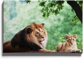 Walljar - Twee Afrikaanse Leeuwen - Muurdecoratie - Canvas schilderij