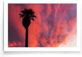 Walljar - Palmbomen en Roze Wolken - Muurdecoratie - Poster