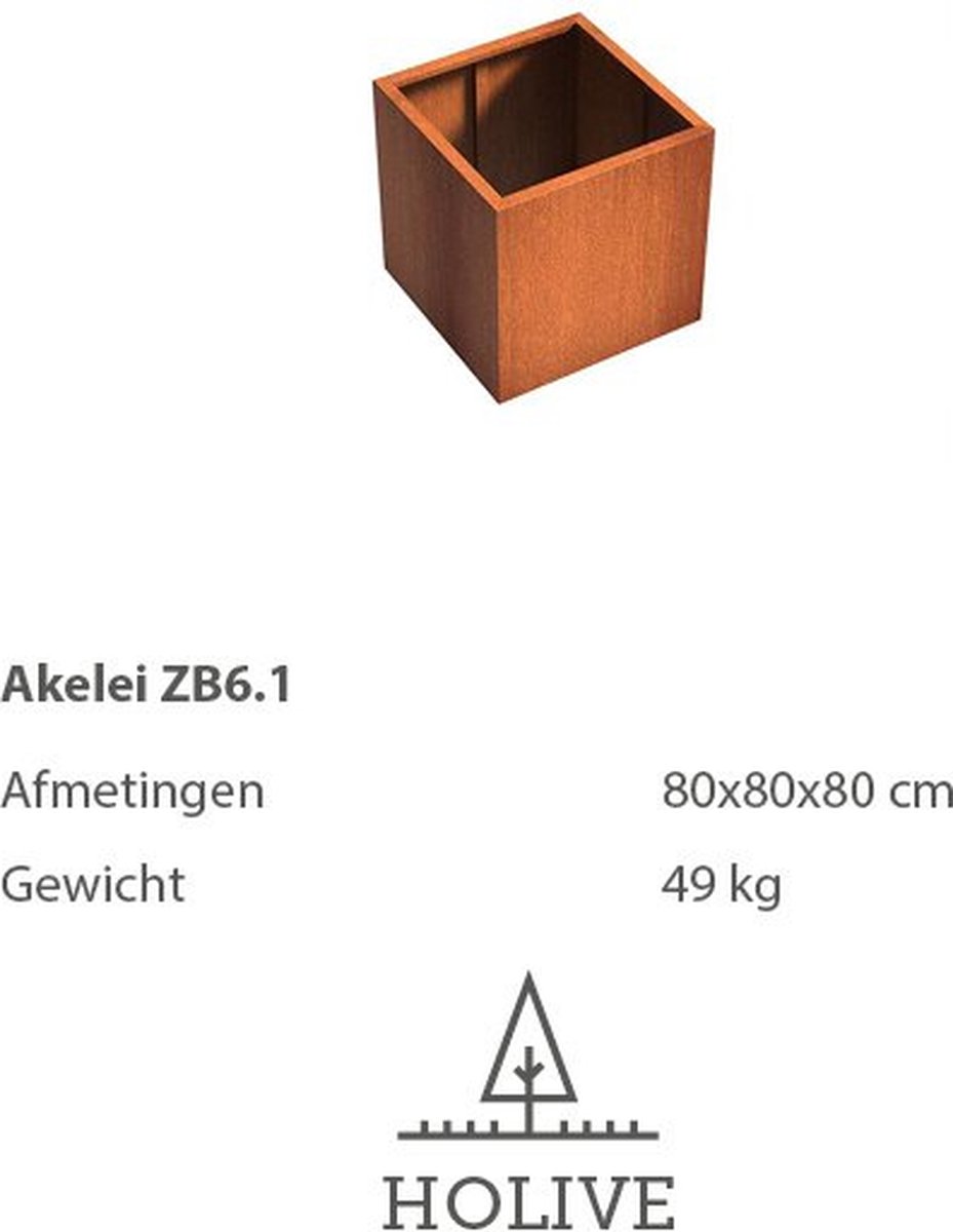 Cortenstaal Akelei ZB6.1 Vierkant zonder bodem 80x80x80 cm. Plantenbak