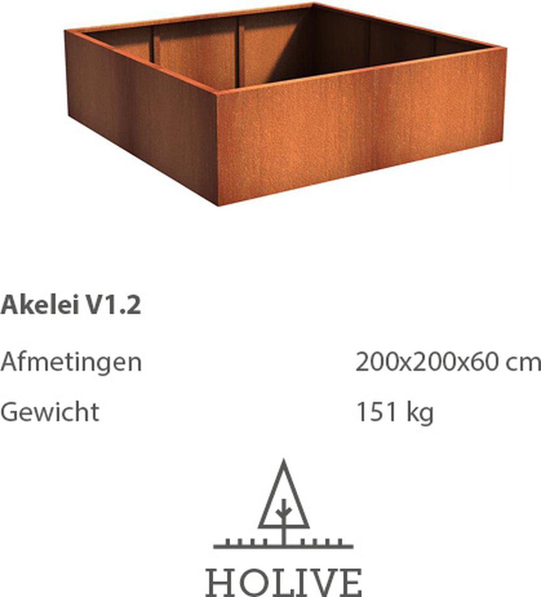 Cortenstaal Akelei V1.2 VIerkant 200x200x60 cm. Plantenbak