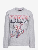 Spiderman longsleeves - t-shirt - katoen - grijs - 116 cm - 6 jaar