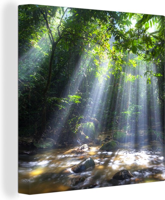 Zonnestralen dringen door de bomen het regenwoud in Maleisië binnen Canvas 20x20 cm - Foto print op Canvas schilderij (Wanddecoratie woonkamer / slaapkamer)