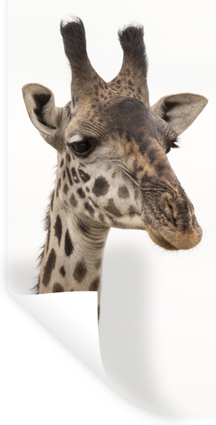 Stickers Stickers muraux - Girafe - Animal - Wit - 20x40 cm - Feuille adhésive