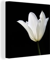 Tableau sur toile tulp Witte - 50x50 cm - Décoration murale