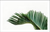 Walljar - Palm Leaves - Muurdecoratie - Poster