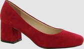 Pumps Micro Rood