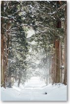 Winter Poster - Sneeuwbos bij Togakushi-heiligdom, Japan - 60x90 Forex Staand - Besteposter - Natuur - Landschap