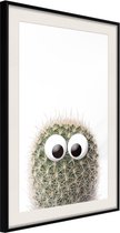 Funny Cactus II