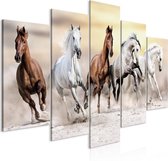 Schilderij - Flock of Horses (5 Parts) Wide.