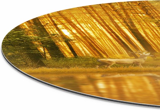 Cercle Mural Artaza Dibond - Deux Cerfs Dans La Forêt Près De L' Water - Ø 40 cm - Klein - Cercle Mural - Tableau Rond - Pour Intérieur Et Extérieur